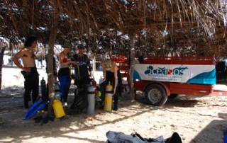 Preparados para bucear